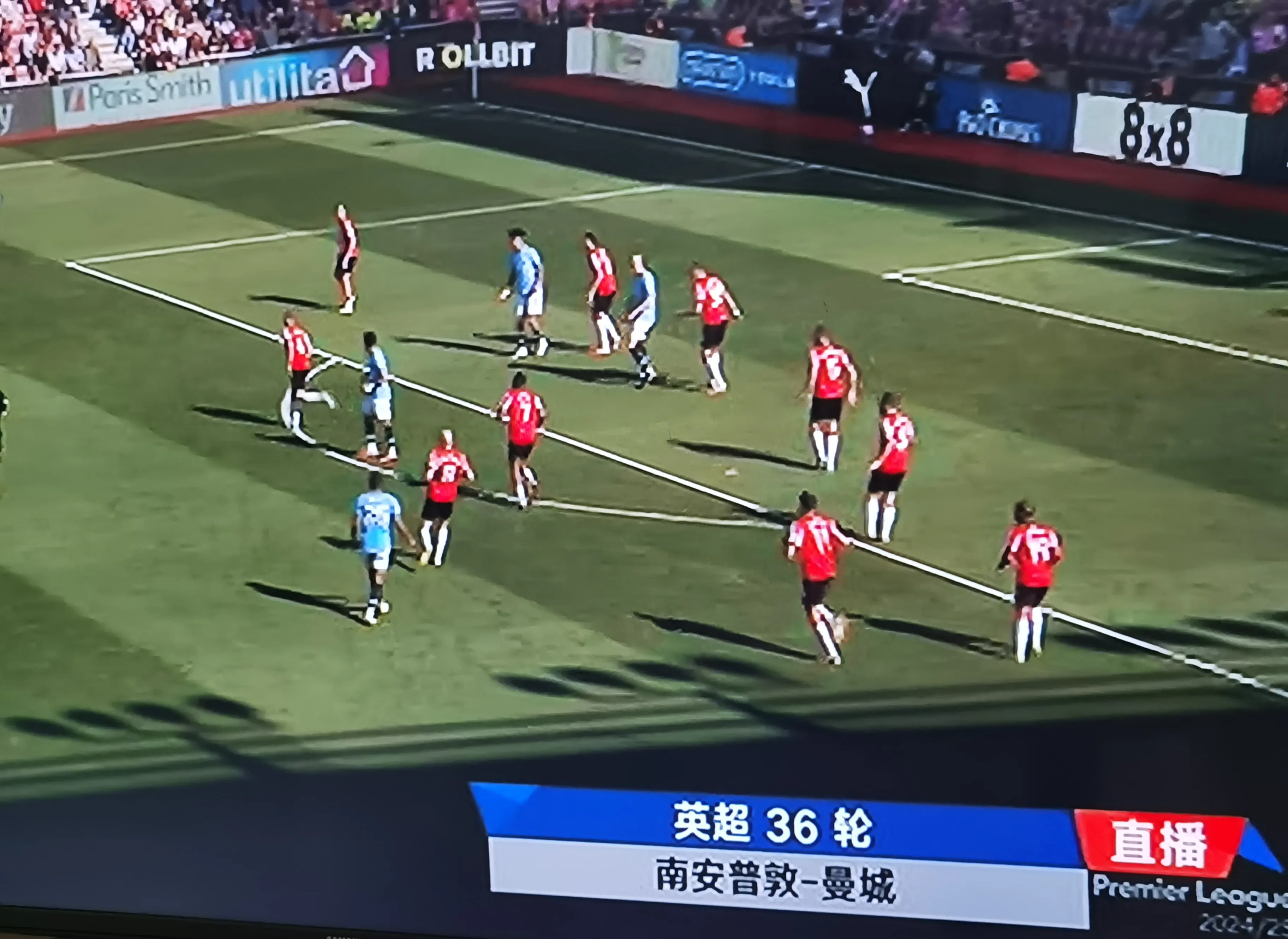 关于布莱顿主场比取胜南安普顿，现场球迷疯狂欢呼的信息