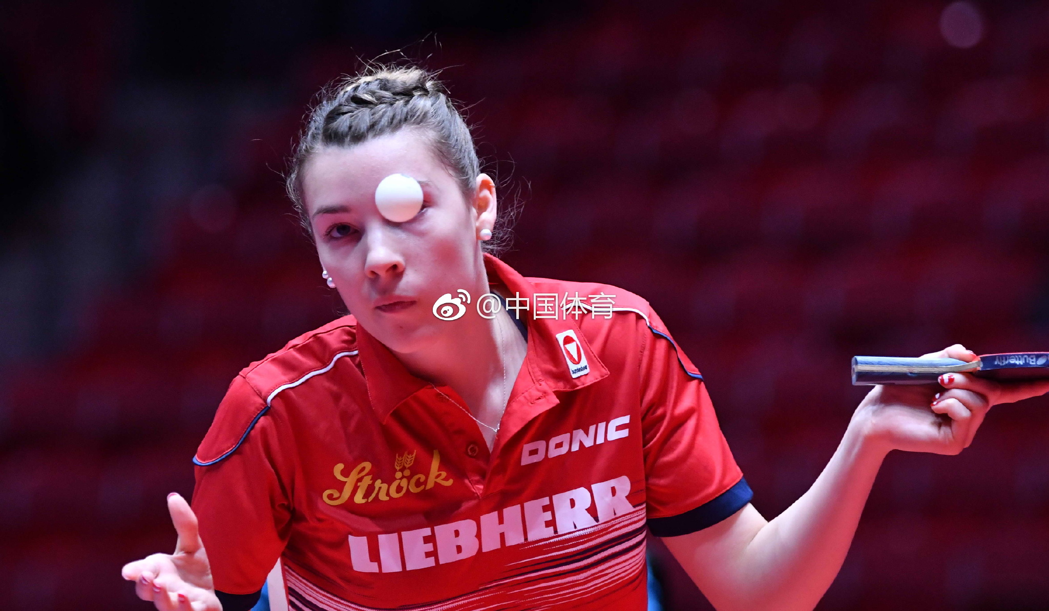 奥地利队力克瑞典队,梁靖崑惊艳四座的简单介绍 奥地利队力克瑞典队,梁靖崑惊艳四座的简单介绍