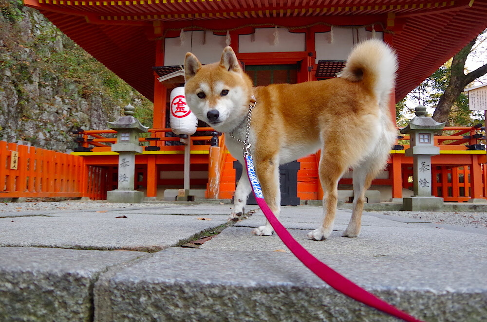 雷火电竞合作-让死亡如影随形，德布劳内最后一搏，难抵西班牙宿命洪流
