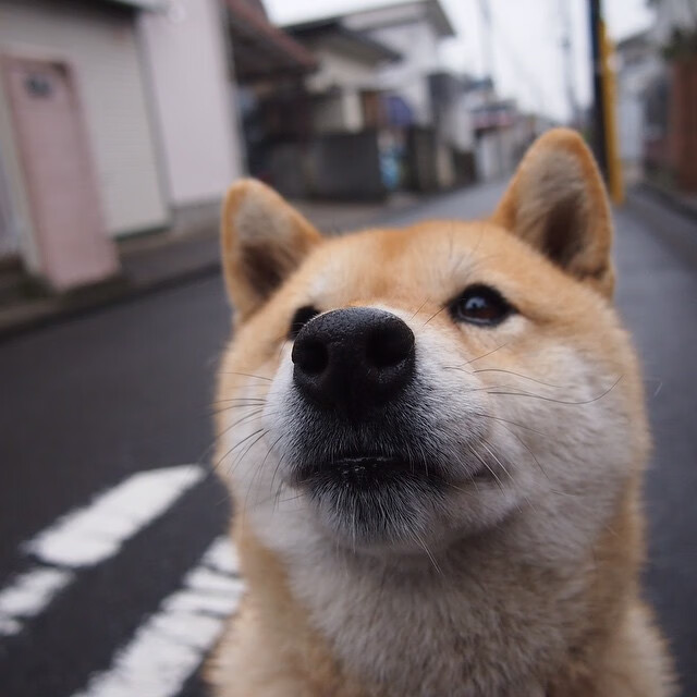 雷火电竞-这一晚，他是唯一的王，小贾伦孤岛防守扼杀勇士海啸进攻