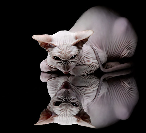 雷火电竞网址-魔术万箭齐发，范弗利特关键三分锁定胜局