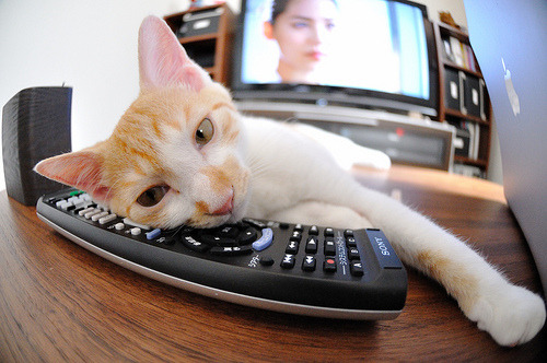 空袭与陆战,老鹰叼走上海滩,约基奇用掘金哲学完成闭环