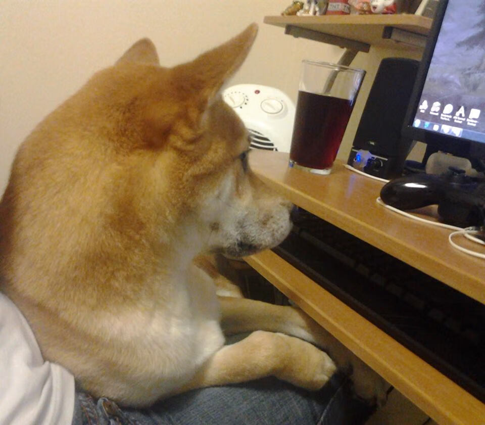 雷火电竞简介-黄蜂踏平森林狼，利拉德关键先生本色，一记三分定乾坤