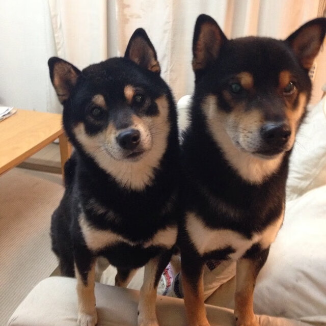 炼金术士的逆转时钟,当马里在圣西罗炼成佩德里的末节神迹