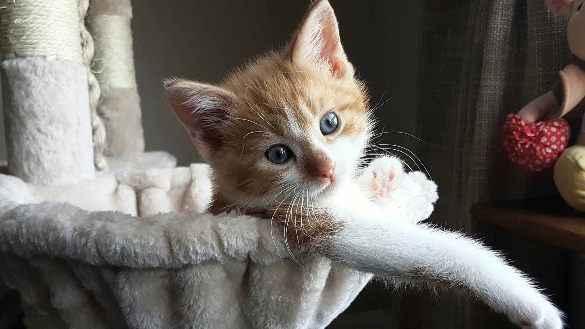 封锁与解放，当瓜迪奥拉的矩阵遇见三笘薰的闪电