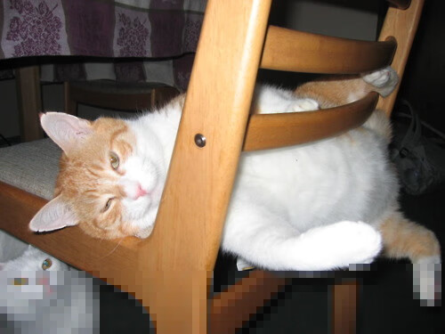 2026世界杯焦点战,巴黎连续得分狂潮压制摩洛哥