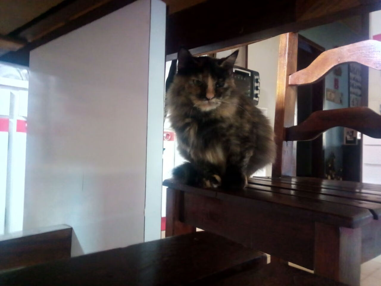 如果切特在快船,论末节接管比赛的终极形态