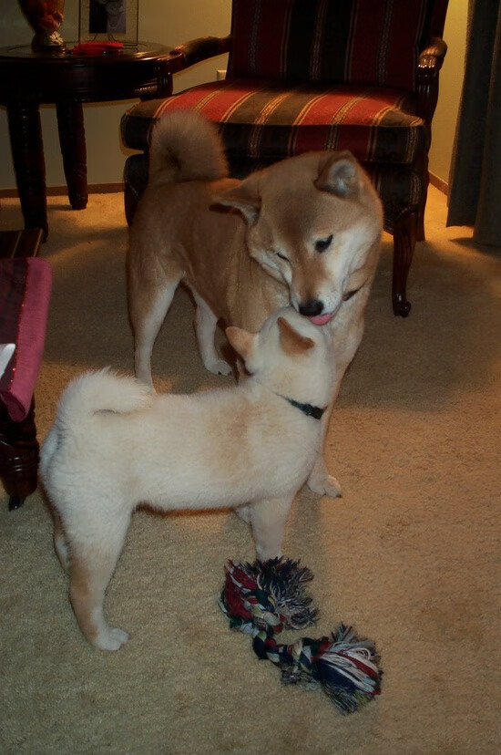 雷火电竞官网-防线上的指挥官，那不勒斯力克马里，金玟哉以非典型英雄之姿接管意甲焦点战